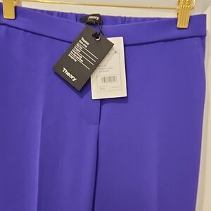 Theory Vibrant Blue Pants